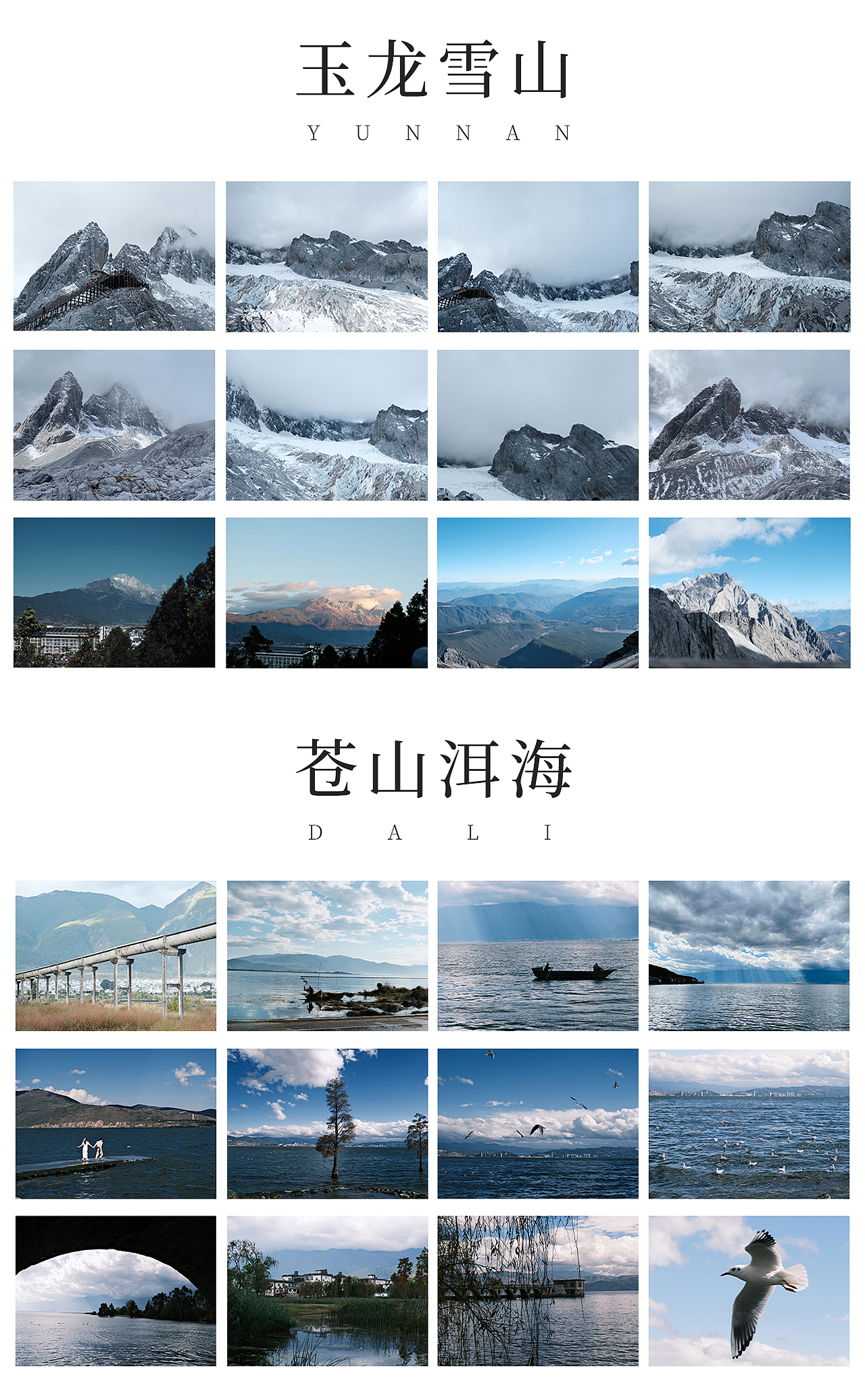 刘郝蕾简历作品集