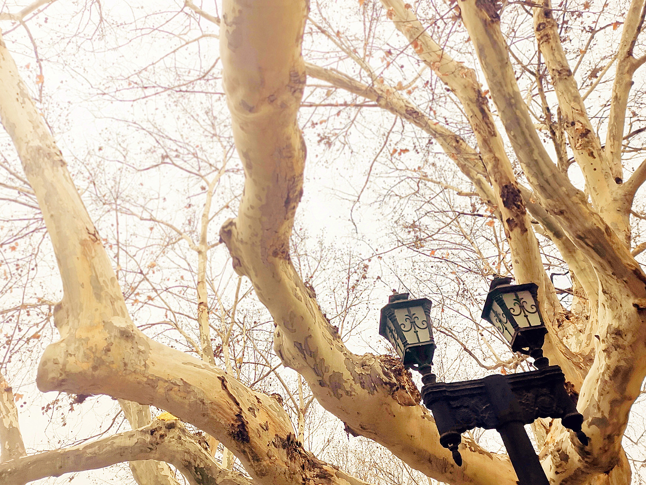 #零下几分钟 把时光暂停了# —Eason（图ZMzI4NzYwMjg0） - 人文/纪实摄影 - 站酷设计师Cerleo原创素材 - 站酷ZCOOL