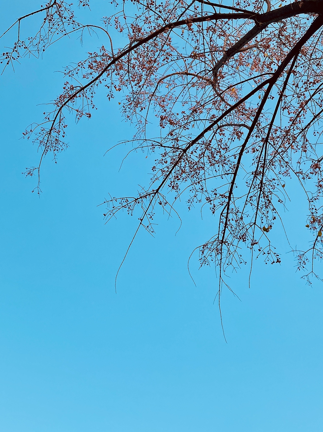 塞上绿洲,美丽朔州