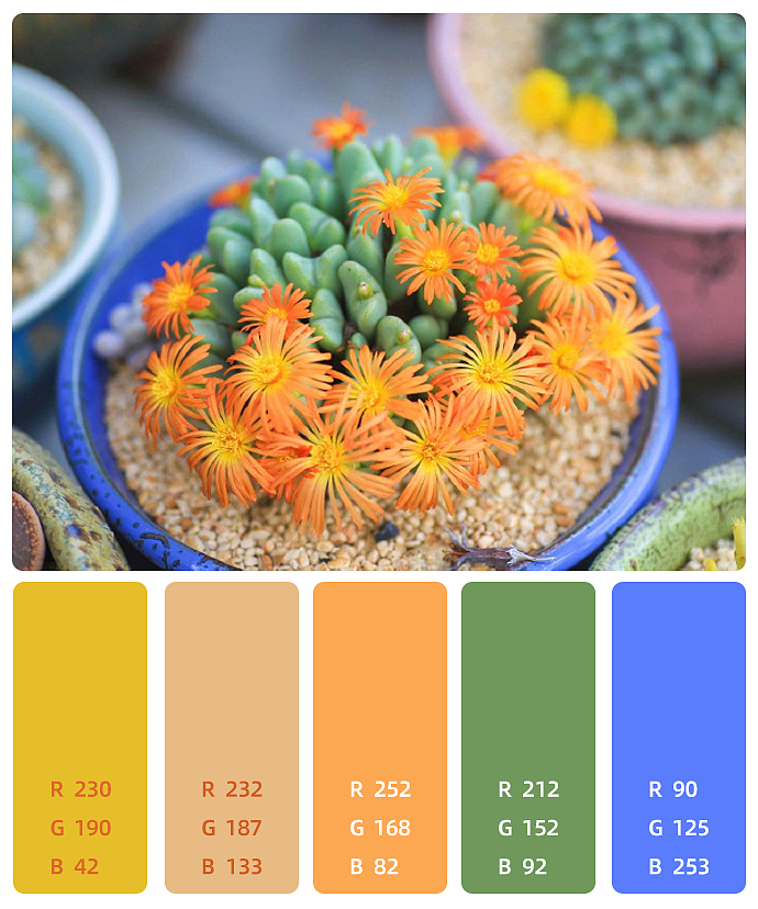 色彩练习（图ZMzM2OTMwNjMy） - 其他 - 站酷设计师爱笑的眼睛101010原创素材 - 站酷ZCOOL