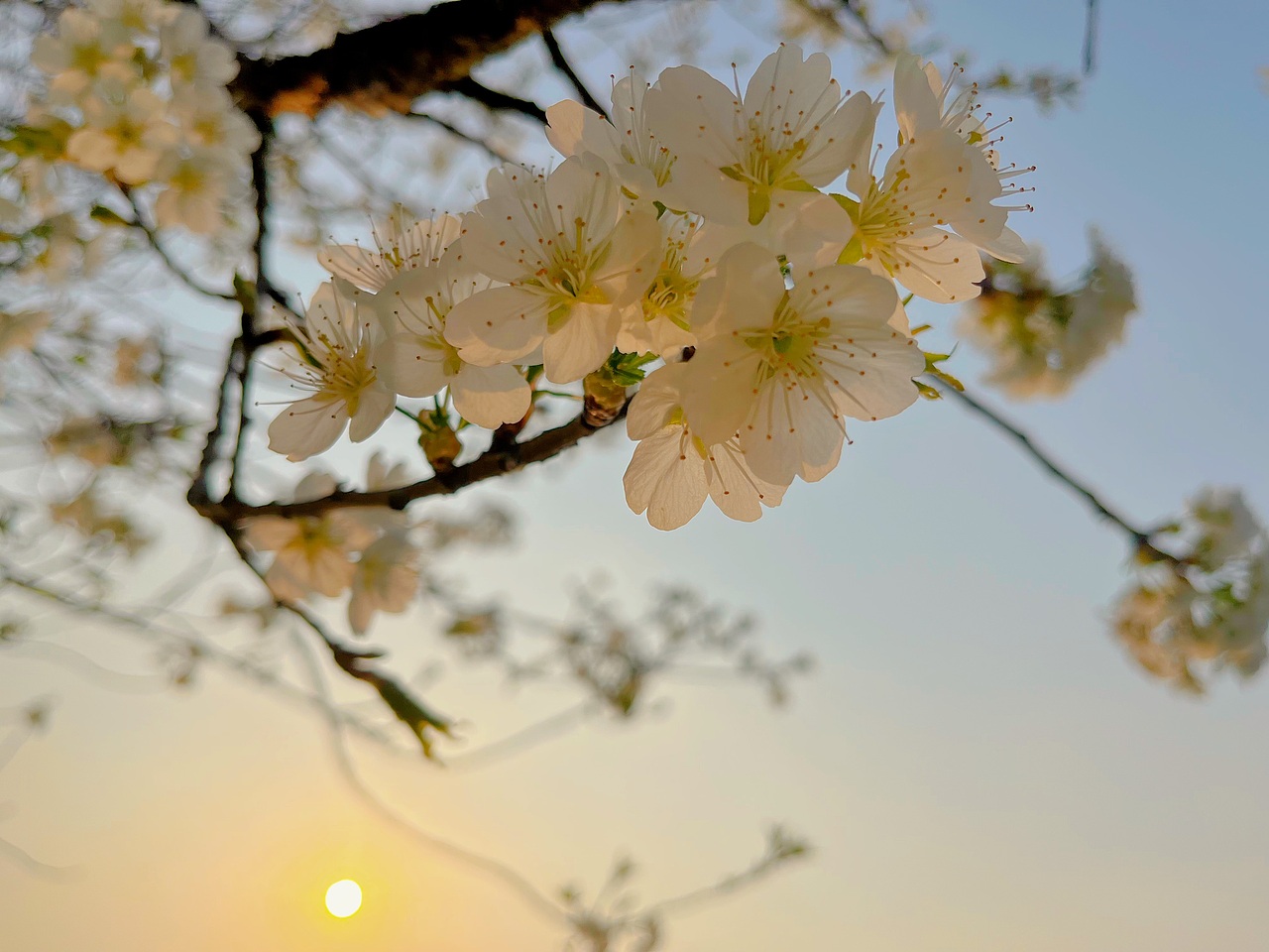 手机摄影 一片静心之地~（图ZMzM3MzU4MDU2） - 风光摄影 - 站酷设计师小小鸟不想飞原创素材 - 站酷ZCOOL