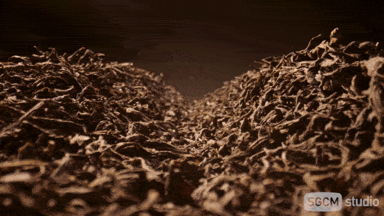 茶饮品牌视频 | 哲品云气茶 X SGCM 拾光制片廠（图ZMzMyNDkxNDUy） - 宣传片 - 站酷设计师拾光传媒原创素材 - 站酷ZCOOL