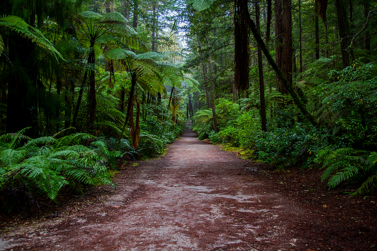 新西兰南北岛穿越之旅（图ZMzUzNzQxNjMy） - 风光摄影 - 站酷设计师暗影嗜血原创素材 - 站酷ZCOOL
