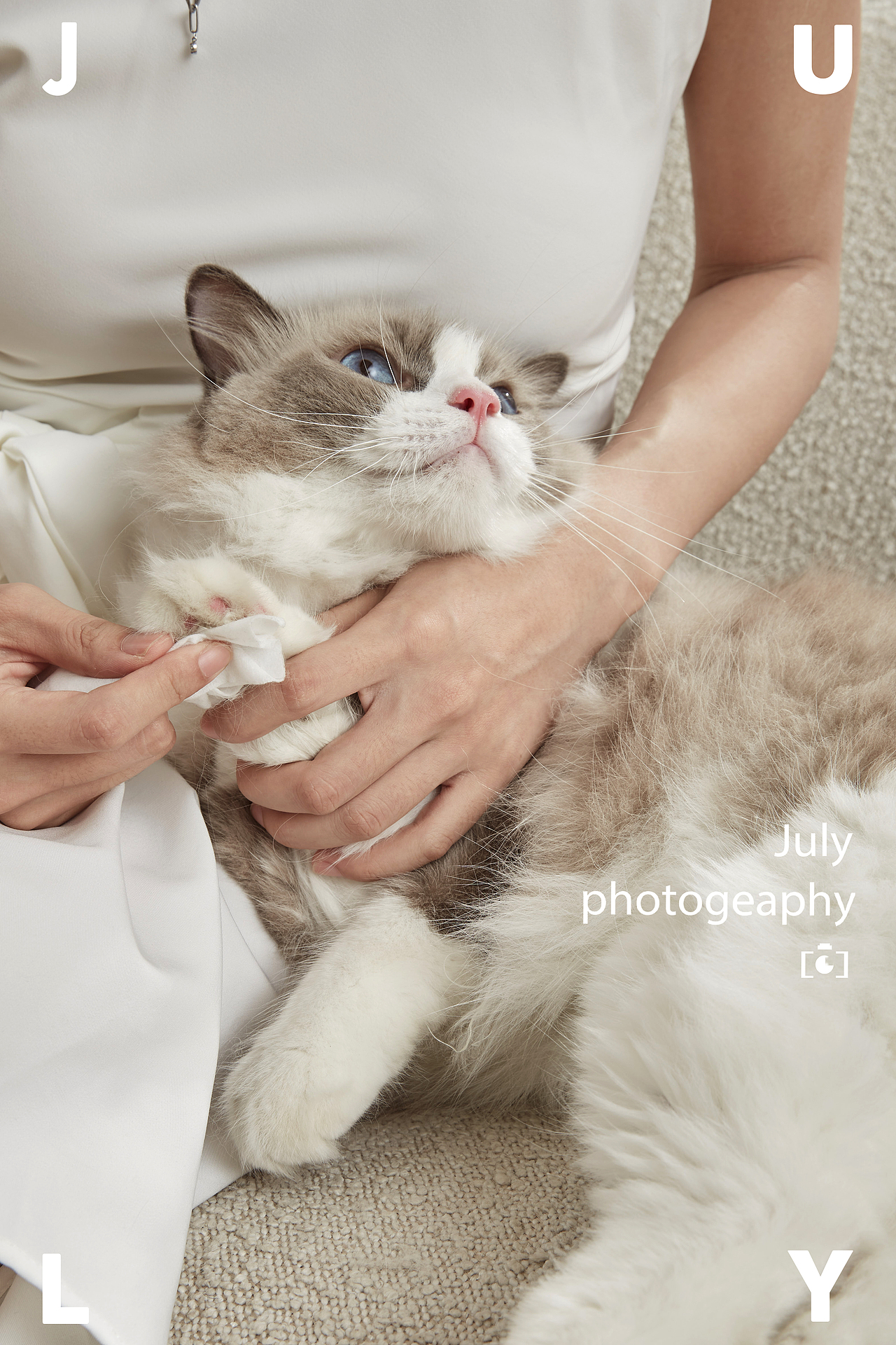 咕咚宠物清洁湿巾┃July摄影