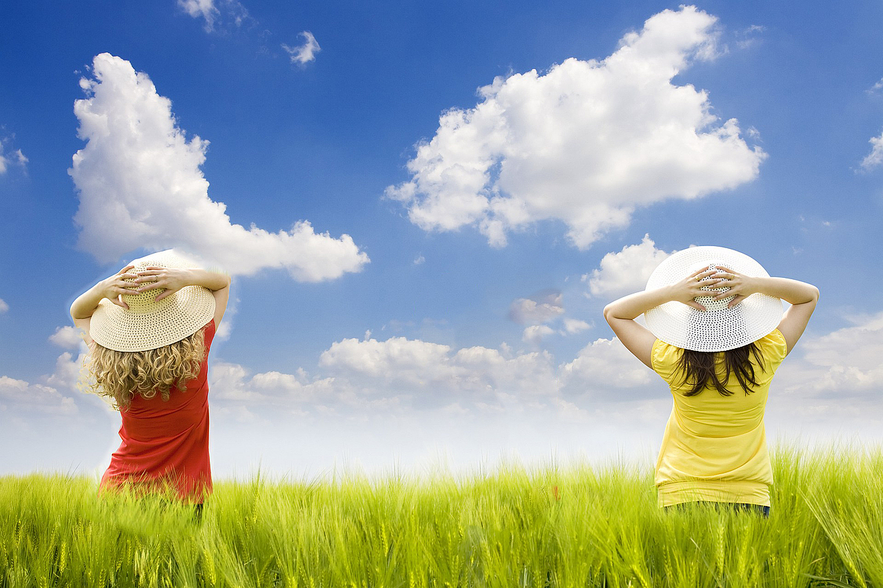 使用各种工具作图