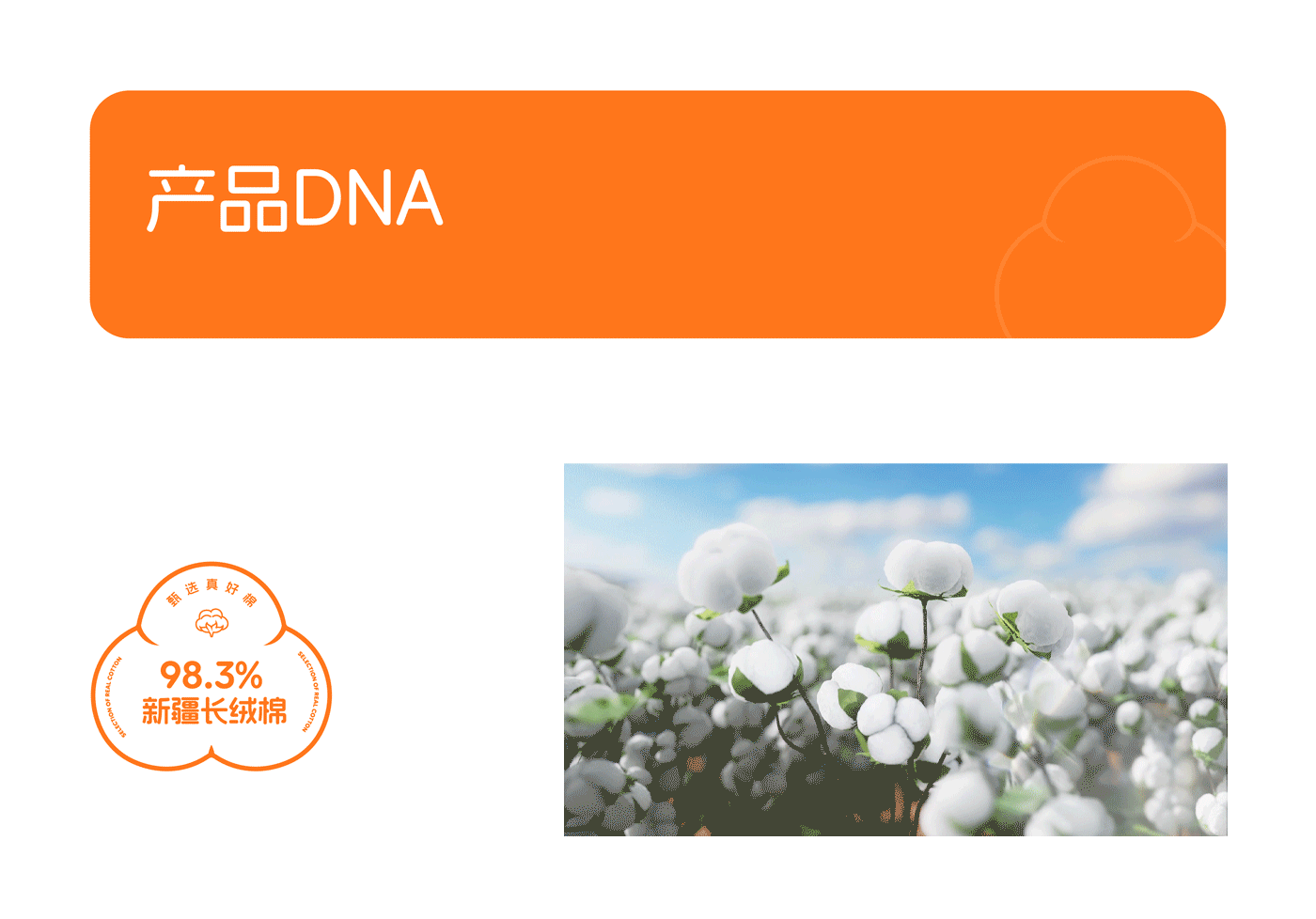 甄棉儿童袜品牌战略新视觉 品牌升级超级全案