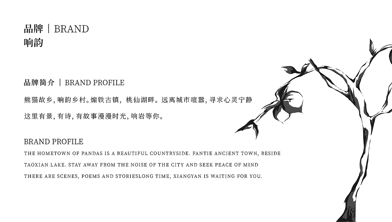 响韵文创品牌vi插画特产水果系列包装