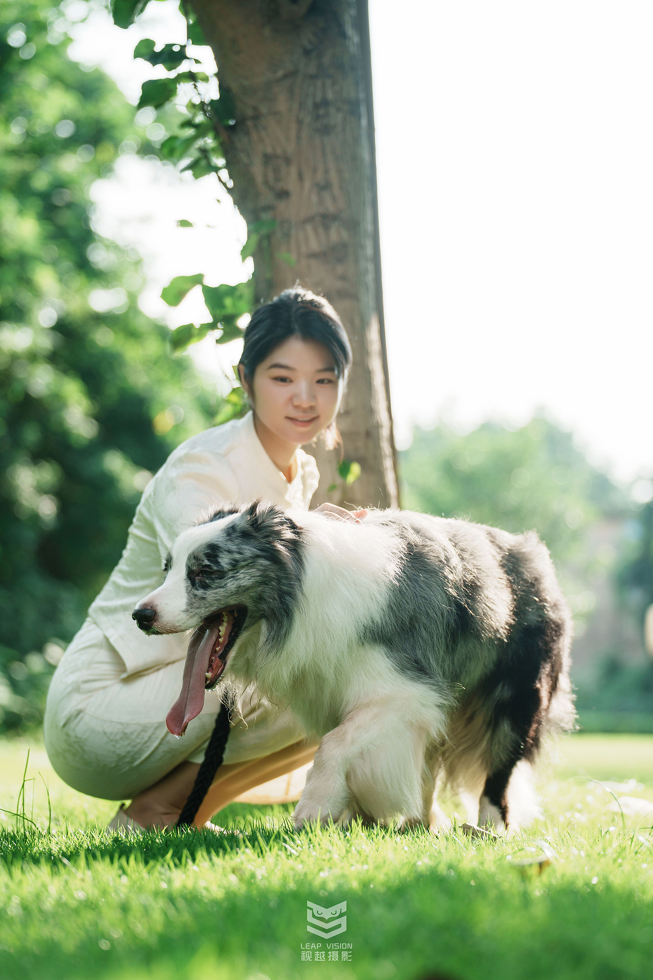 藍(lán)隕石邊牧拍攝（圖ZMzQzMDE1OTg4） - 寵物攝影 - 站酷設(shè)計師小樣攝影原創(chuàng)素材 - 站酷ZCOOL