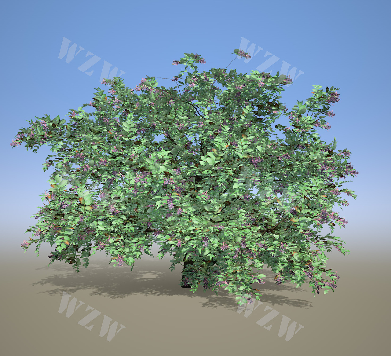 花草树木|SpeedTree|植物制作的阶段性成果展示（图ZMzYyOTY2ODU2） - 场景 - 站酷设计师旋律S原创素材 - 站酷ZCOOL