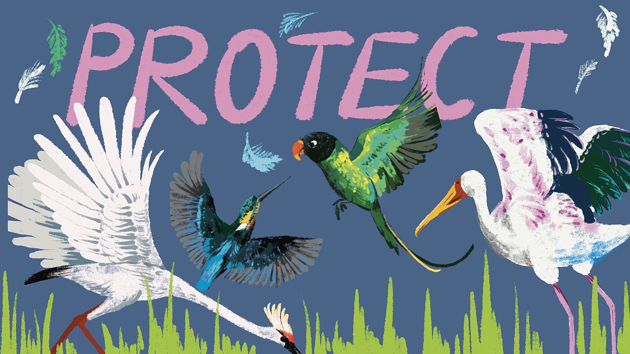 PROTECT（图ZMzY1MzMzMDM2） - 艺术插画 - 站酷设计师王王www原创素材 - 站酷ZCOOL