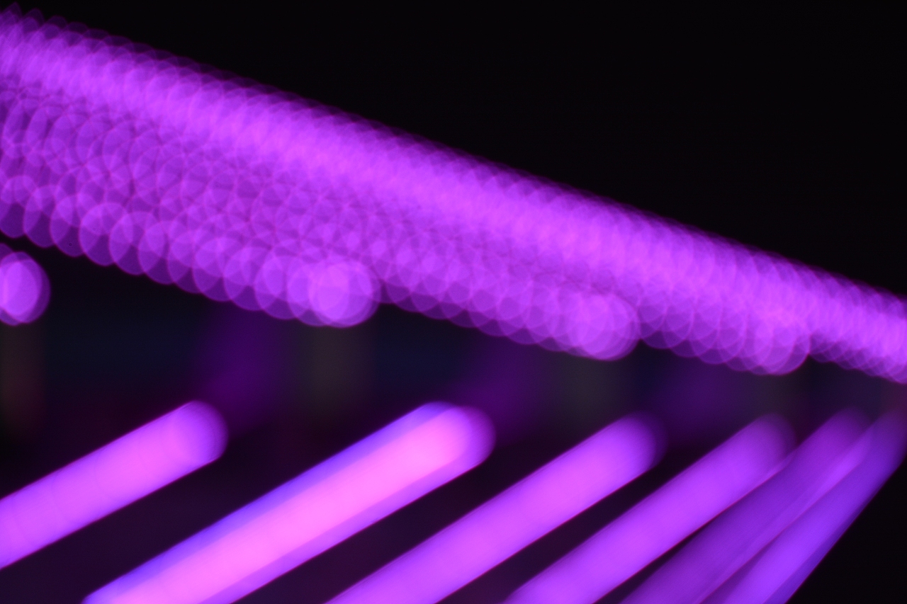 个人摄影作品集