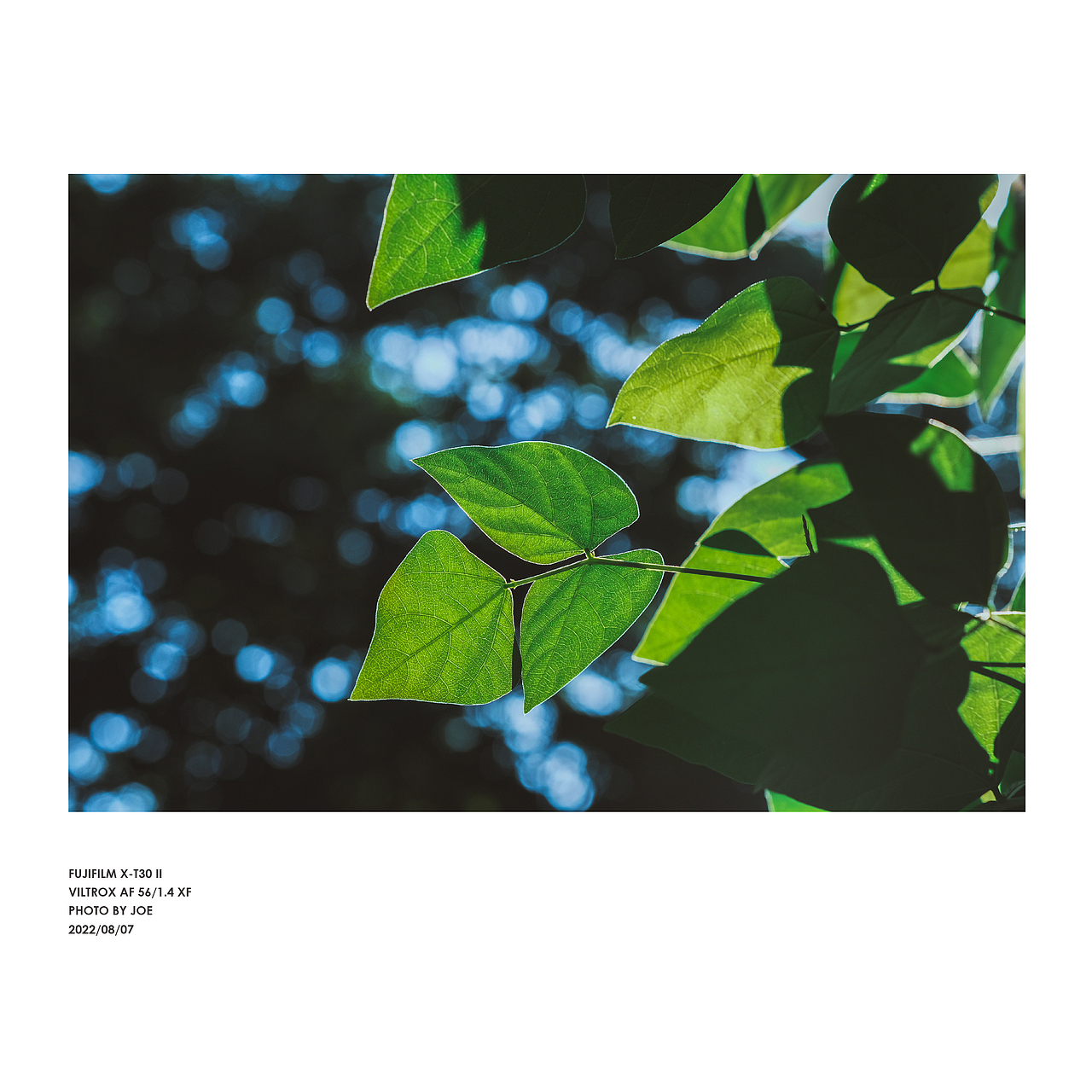 会有一束光，慢慢照向你