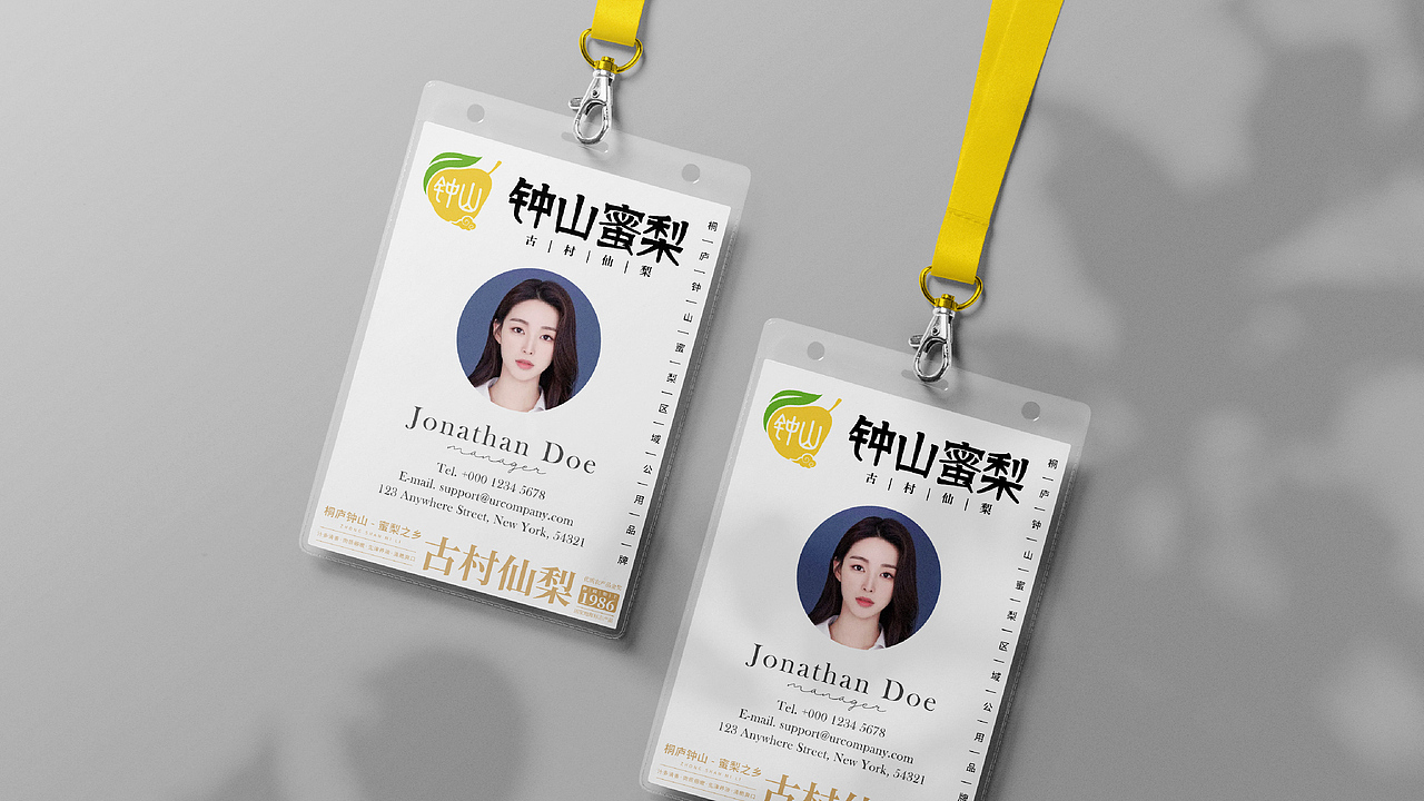 钟山蜜梨区域公用品牌提案