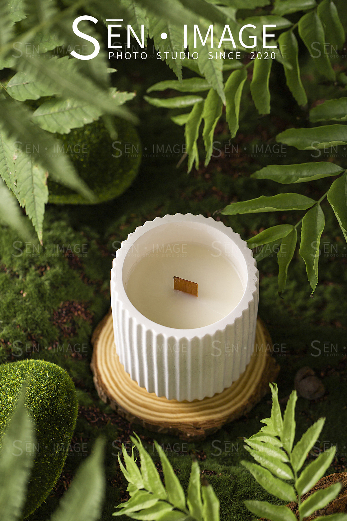 香薰森林风拍摄案例