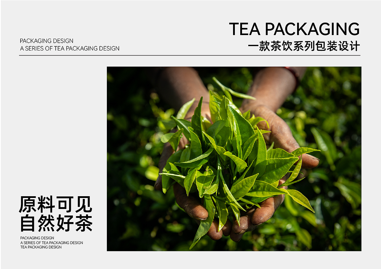 氧默网红泡茶/茶饮/养生茶/食品包装设计（图ZMzM5MDQxNjA0） - 品牌 - 站酷设计师南禾设计工作室原创素材 - 站酷ZCOOL