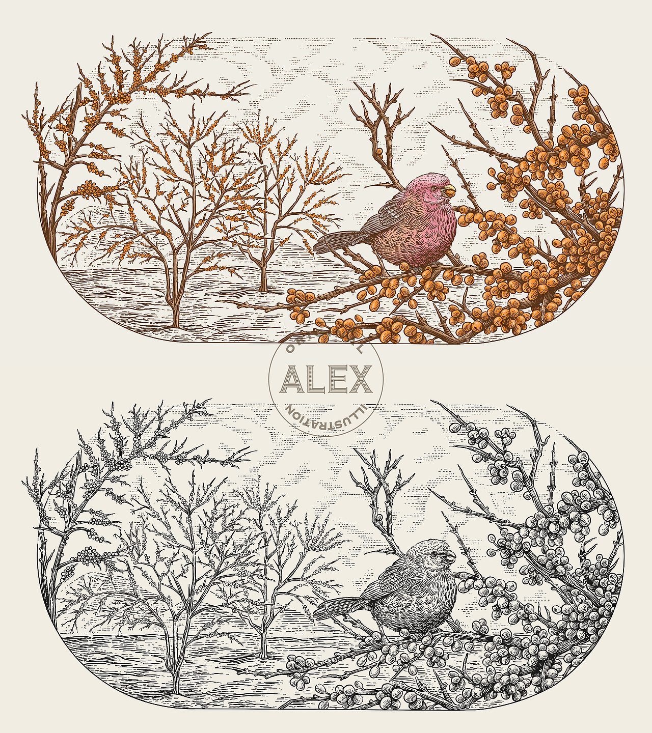 原创插画|《坚韧》（图ZMzQ2OTI5ODA0） - 商业插画 - 站酷设计师花椒的Alex原创素材 - 站酷ZCOOL