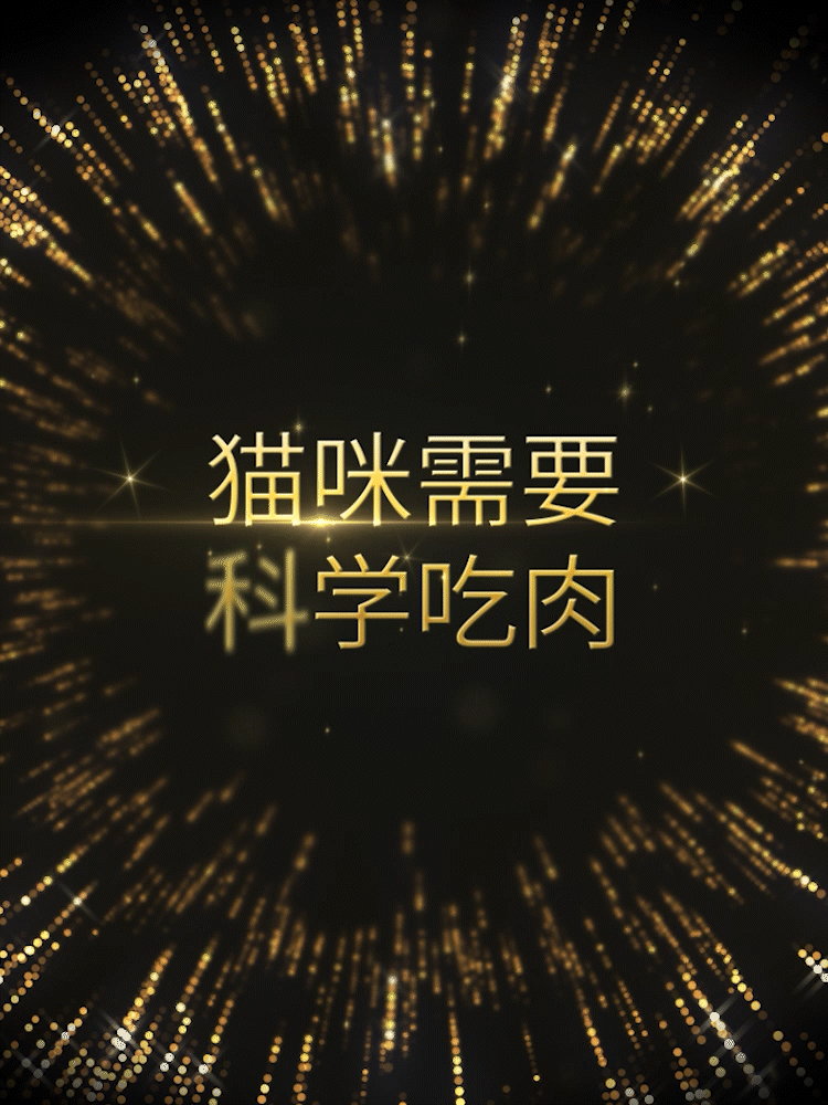 PetMaster佩玛思特宠物猫粮 乐趣文化 #创作加油站#