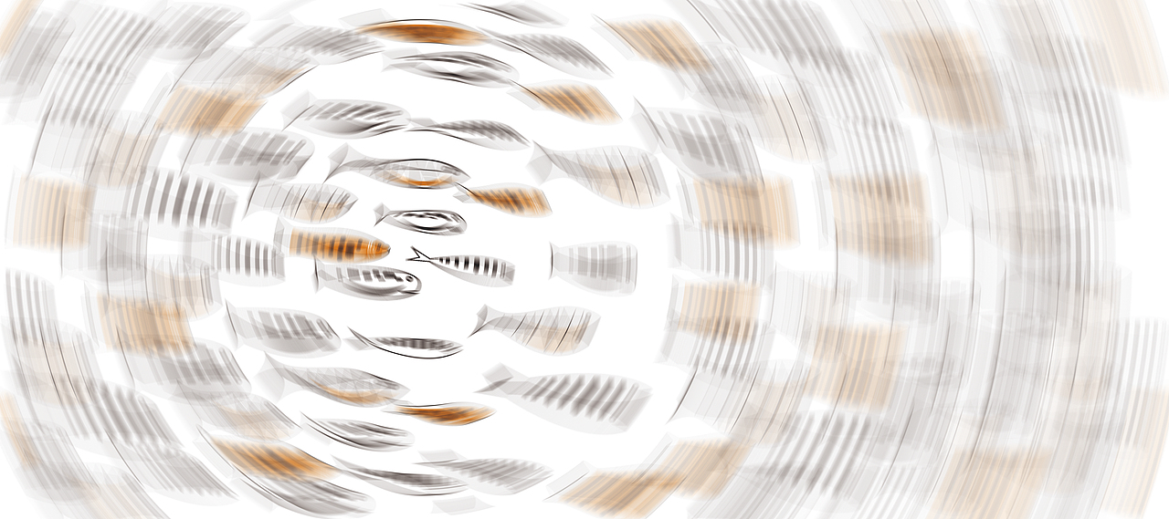 书籍设计 《白鲸》（图ZMzIzODY2MTMy） - 书籍/画册 - 站酷设计师橘子打野555原创素材 - 站酷ZCOOL