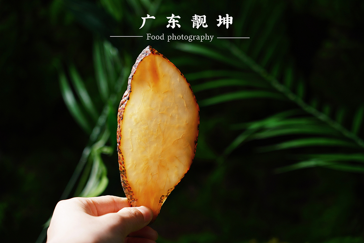 美食摄影|山珍海味