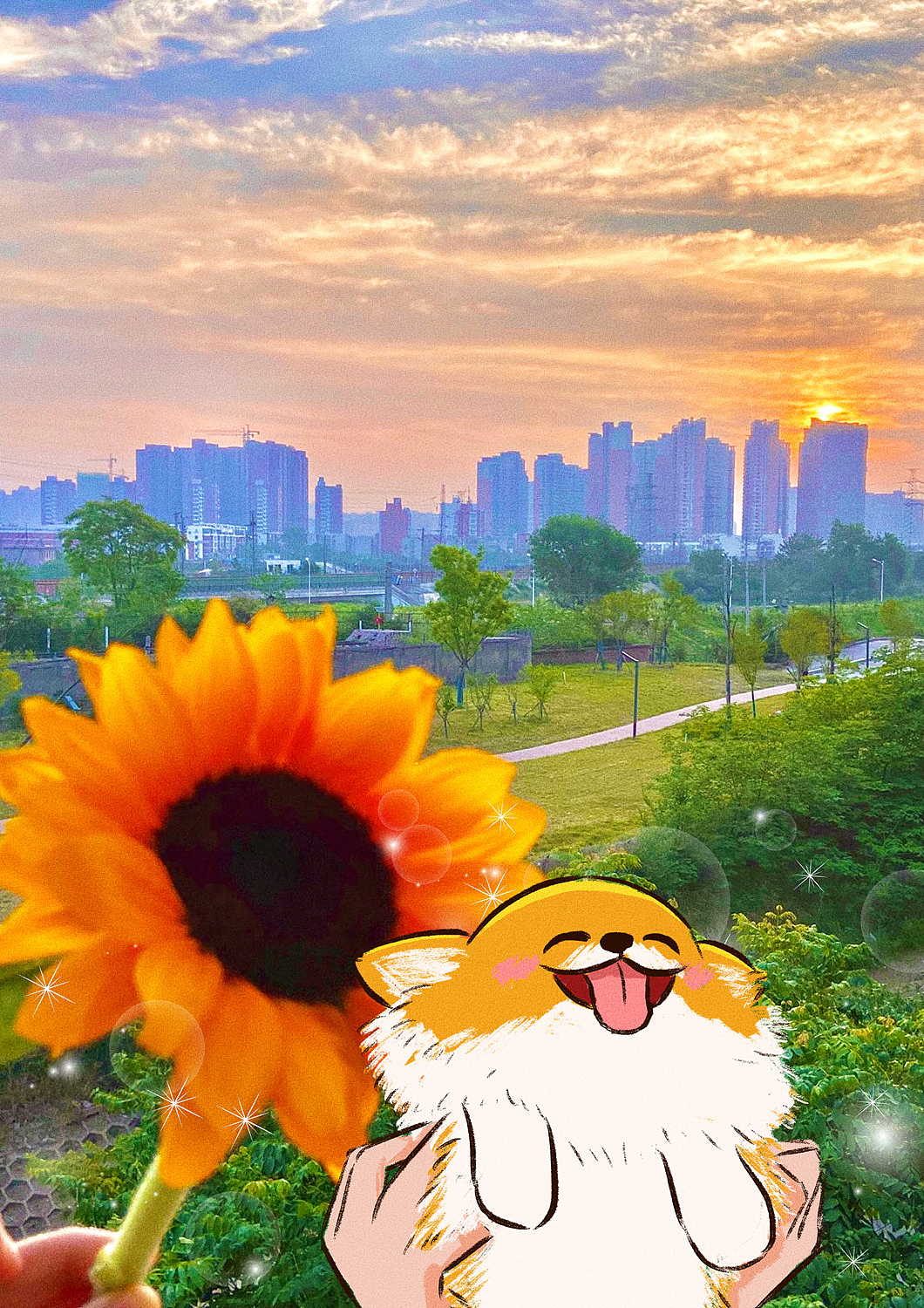 照片插畫 | 這個(gè)夏天（圖ZMzAyNTEyMTc2） - 創(chuàng)作習(xí)作 - 站酷設(shè)計(jì)師Joynii原創(chuàng)素材 - 站酷ZCOOL