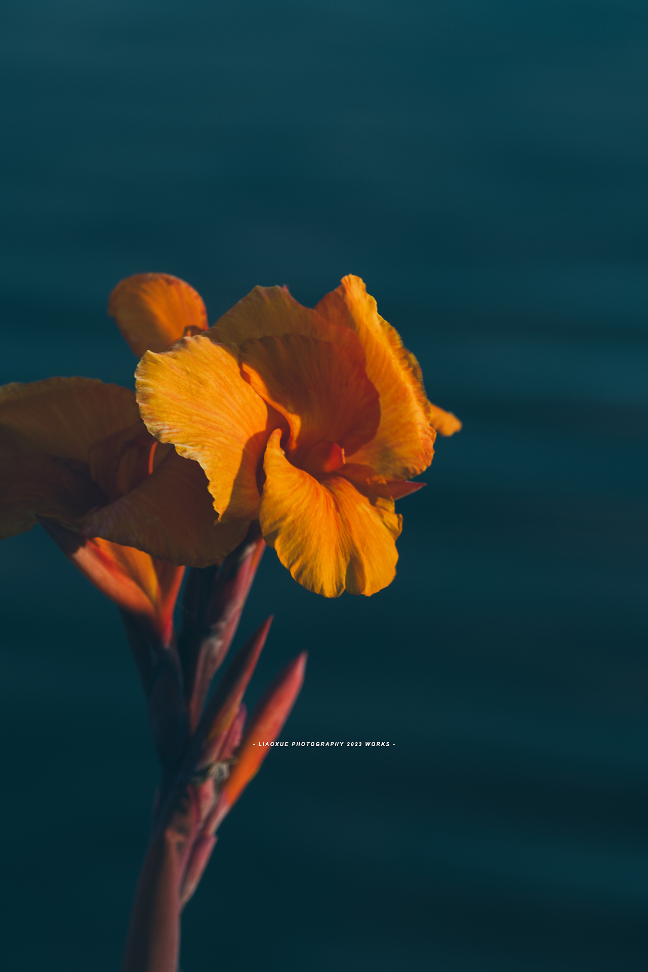 旅行摄影流水帐|镜头里的秋（图ZMzUzMDI5MTQ0） - 人文/纪实摄影 - 站酷设计师雪小廖原创素材 - 站酷ZCOOL