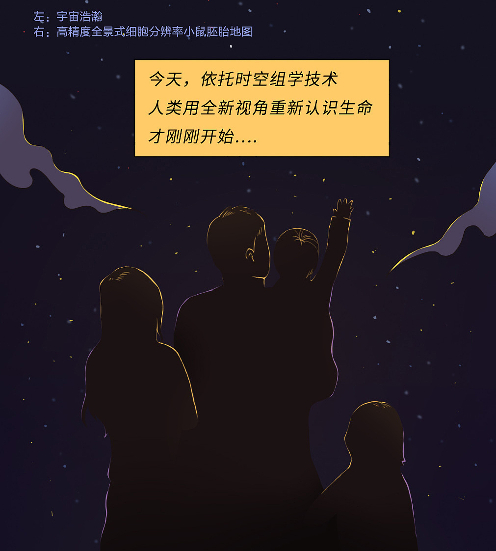 “超级生命照相机”——时空组学技术【华大基因商稿】