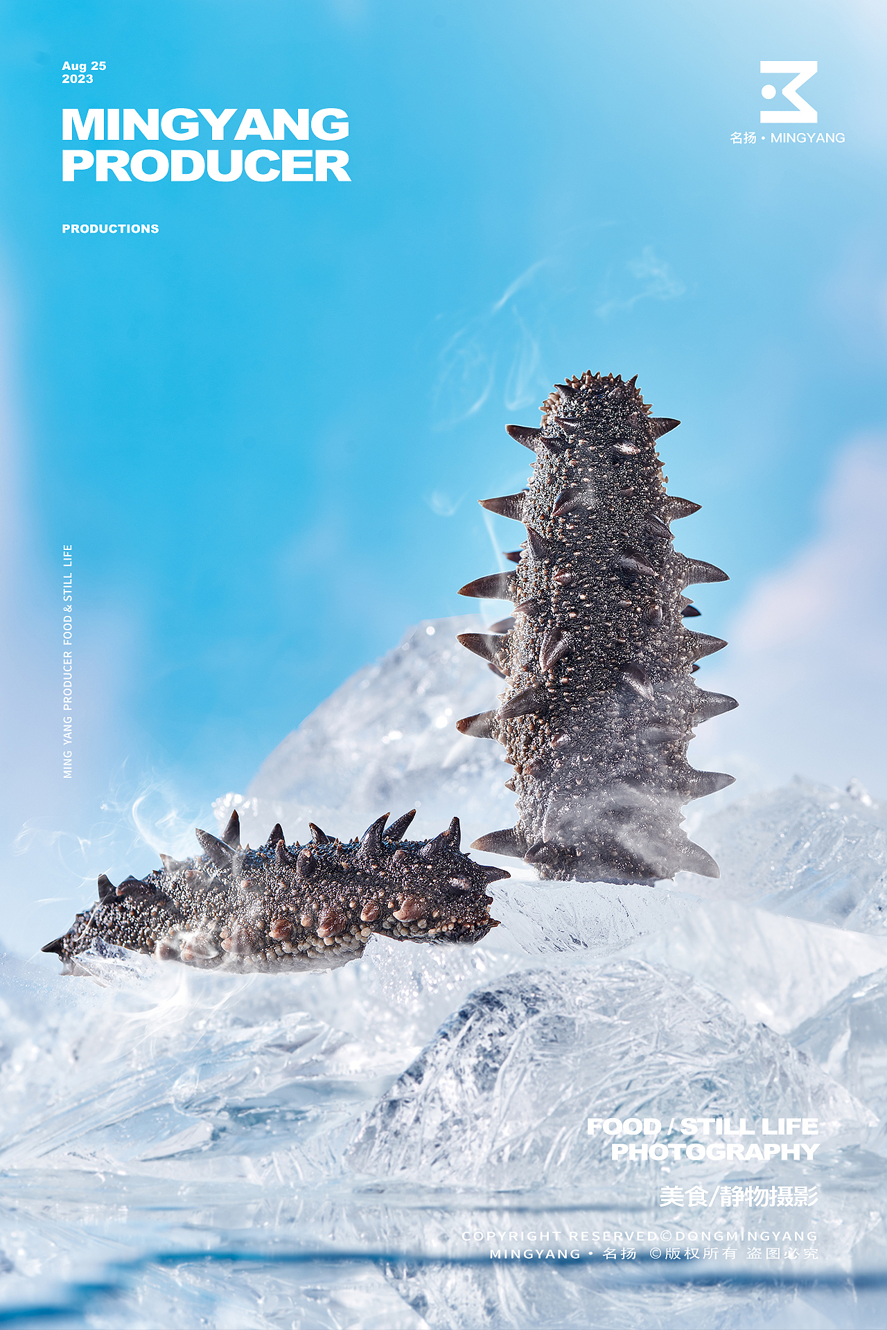 干海参即食海参野生海参海鲜拍摄