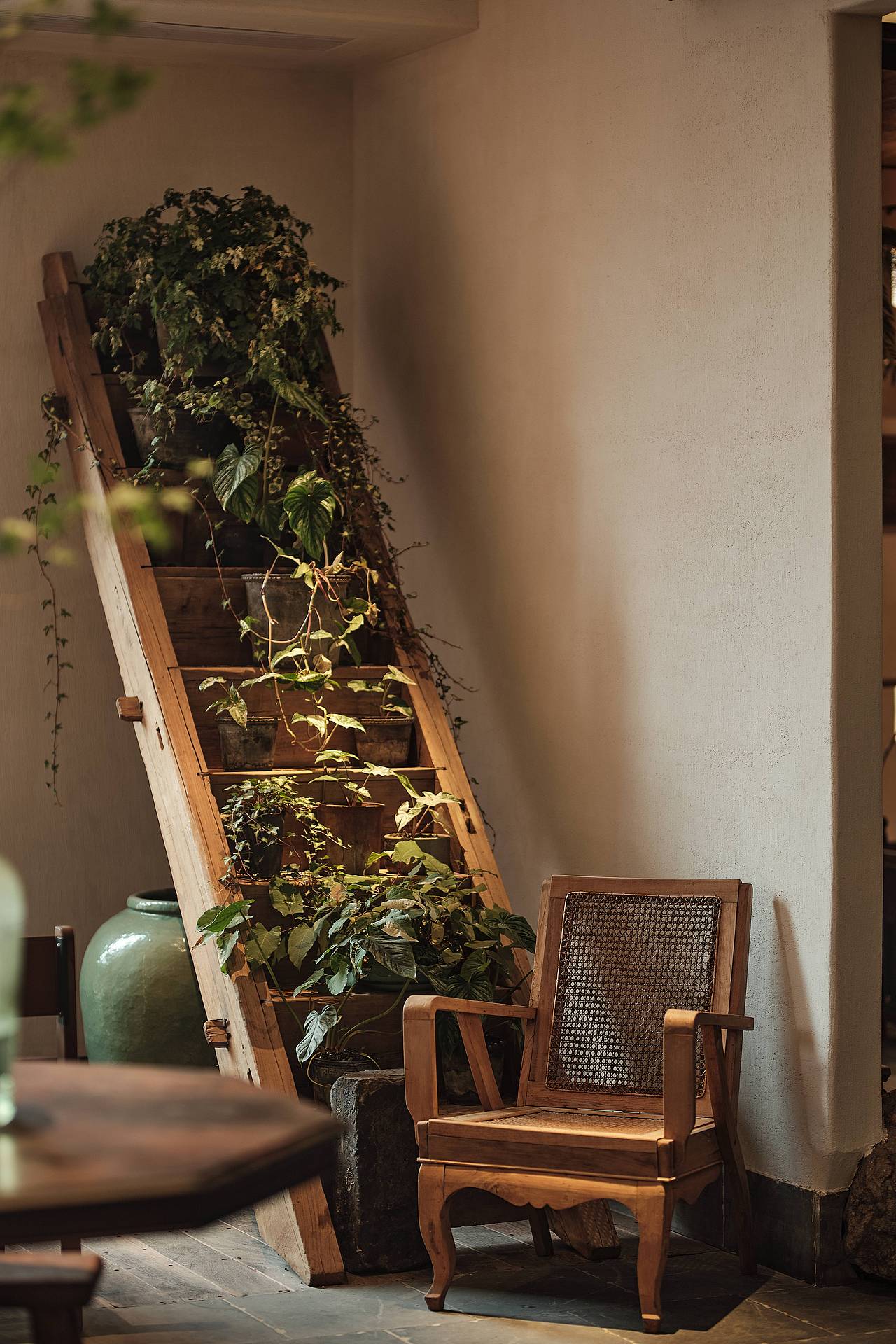 【餐饮空间】花迹·山野