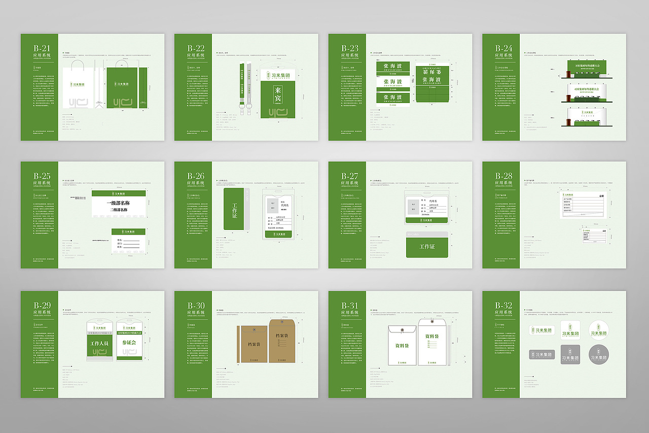 习米集团VIS手册(完整版)