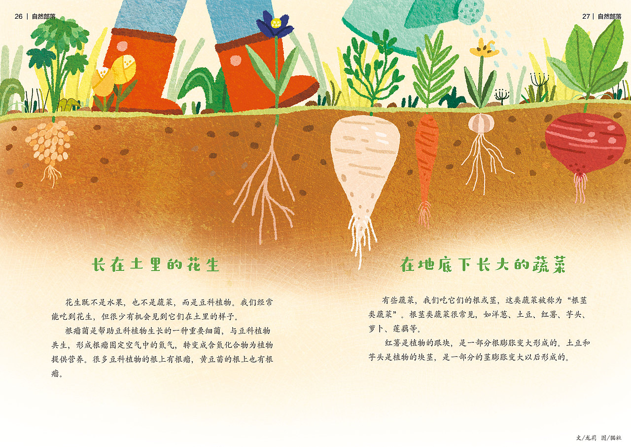 地下的世界 —— 科学启蒙