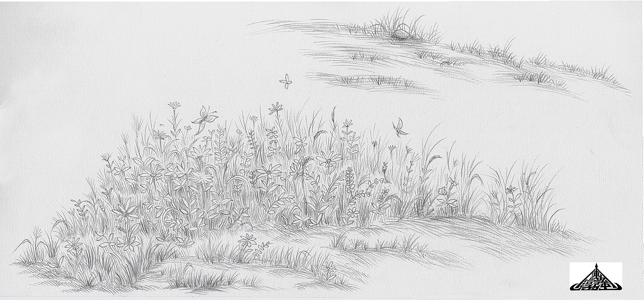 为“宫廷文化”绘制的素描风插画（图ZMzIxNTU0OTA4） - 商业插画 - 站酷设计师傅淳强画者之旅原创素材 - 站酷ZCOOL