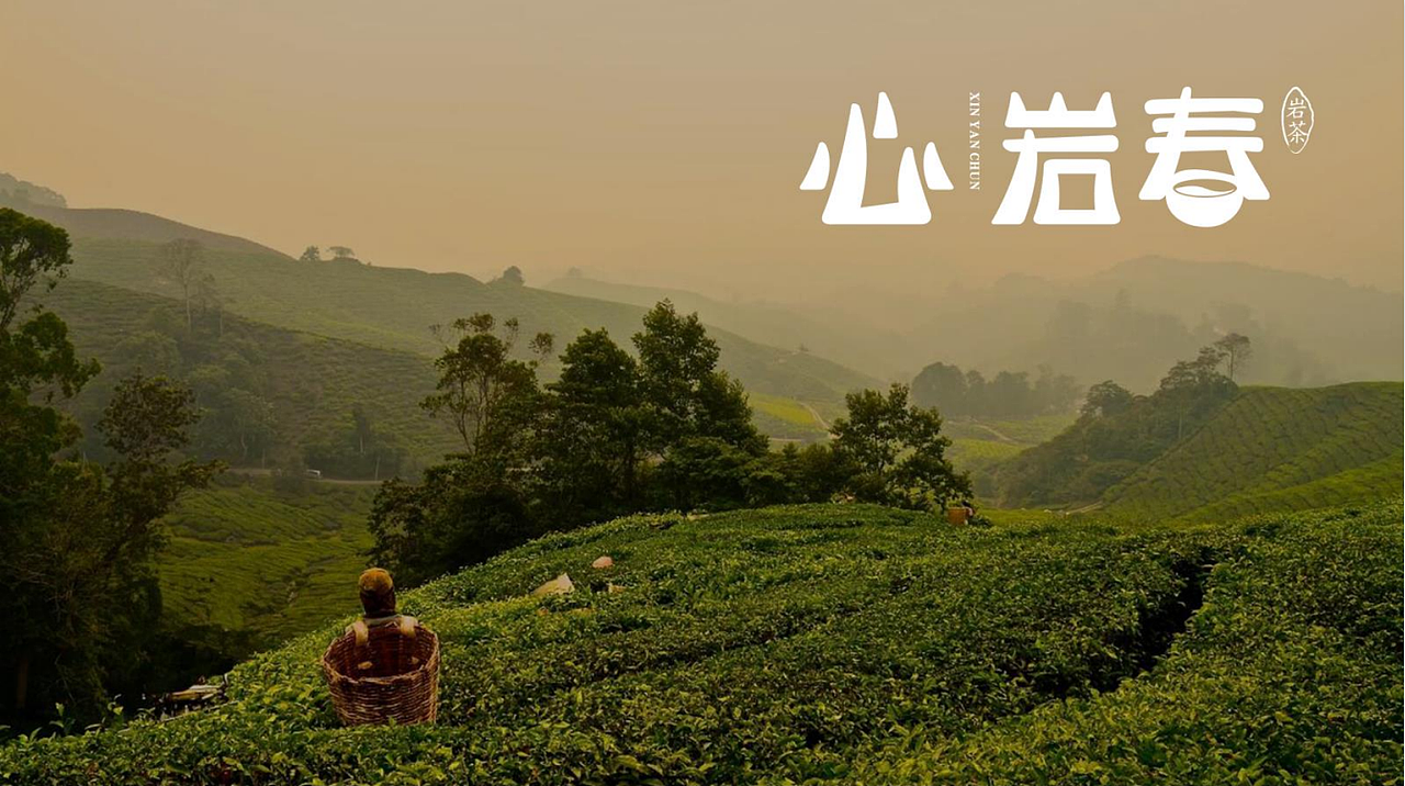 茶叶LOGO设计|标志设计 商标设计 标识设计 品牌定位（图ZMzY3MzU5NDEy） - Logo - 站酷设计师超级符号logo设计原创素材 - 站酷ZCOOL