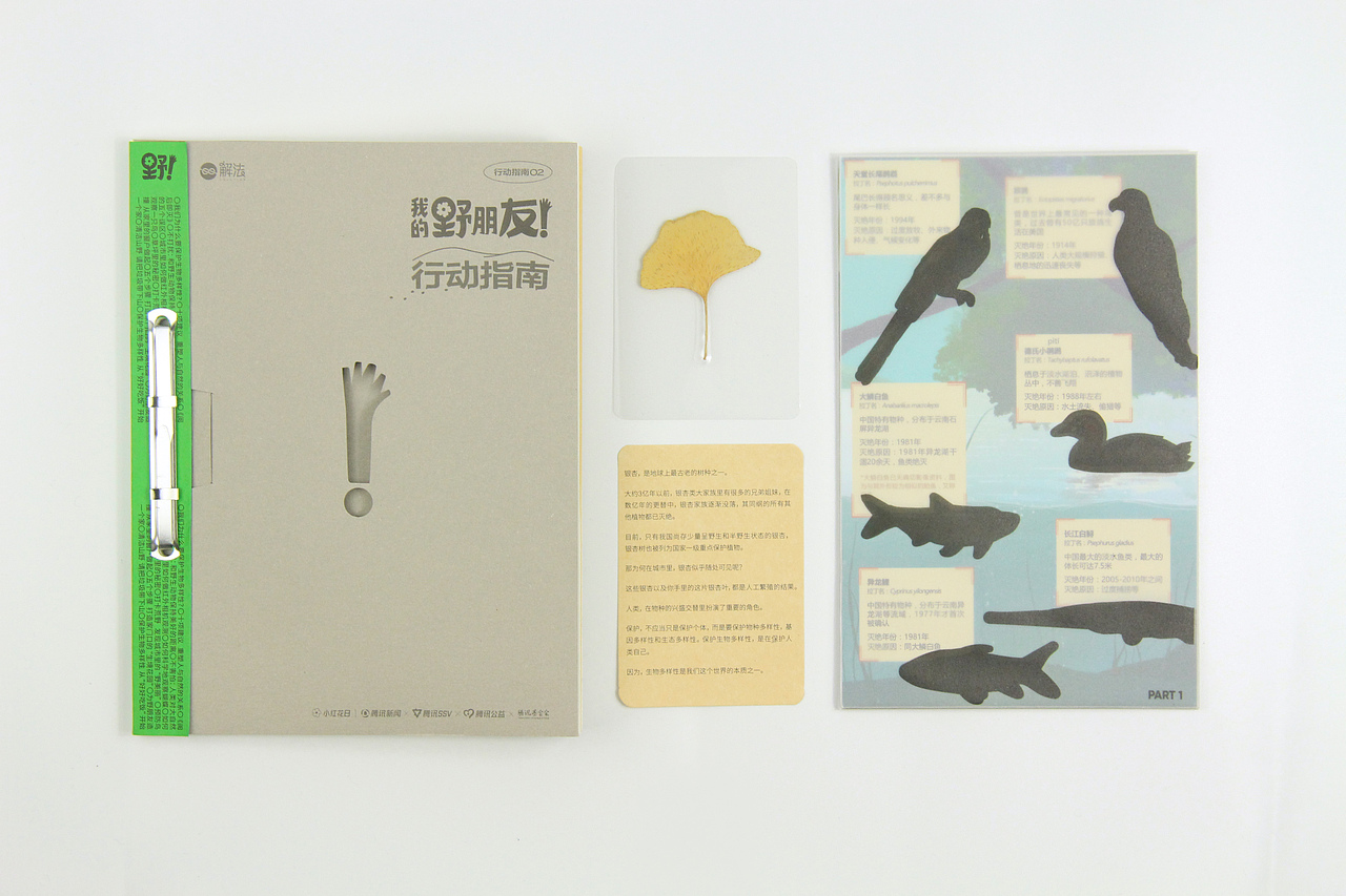 腾讯新闻《我的野朋友行动指南》-杂志装帧设计（图ZMzI4Njk1NTg0） - 书籍/画册 - 站酷设计师Allen_cxl原创素材 - 站酷ZCOOL