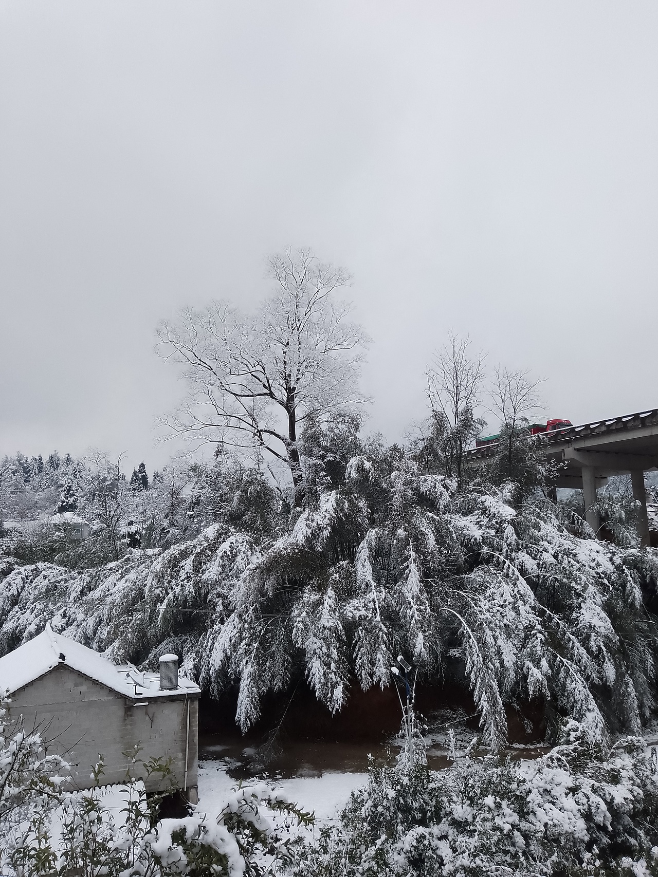 家乡的雪-湖南湘西（图ZMzU1MzY2NzY4） - 风光摄影 - 站酷设计师寻找彩虹海原创素材 - 站酷ZCOOL