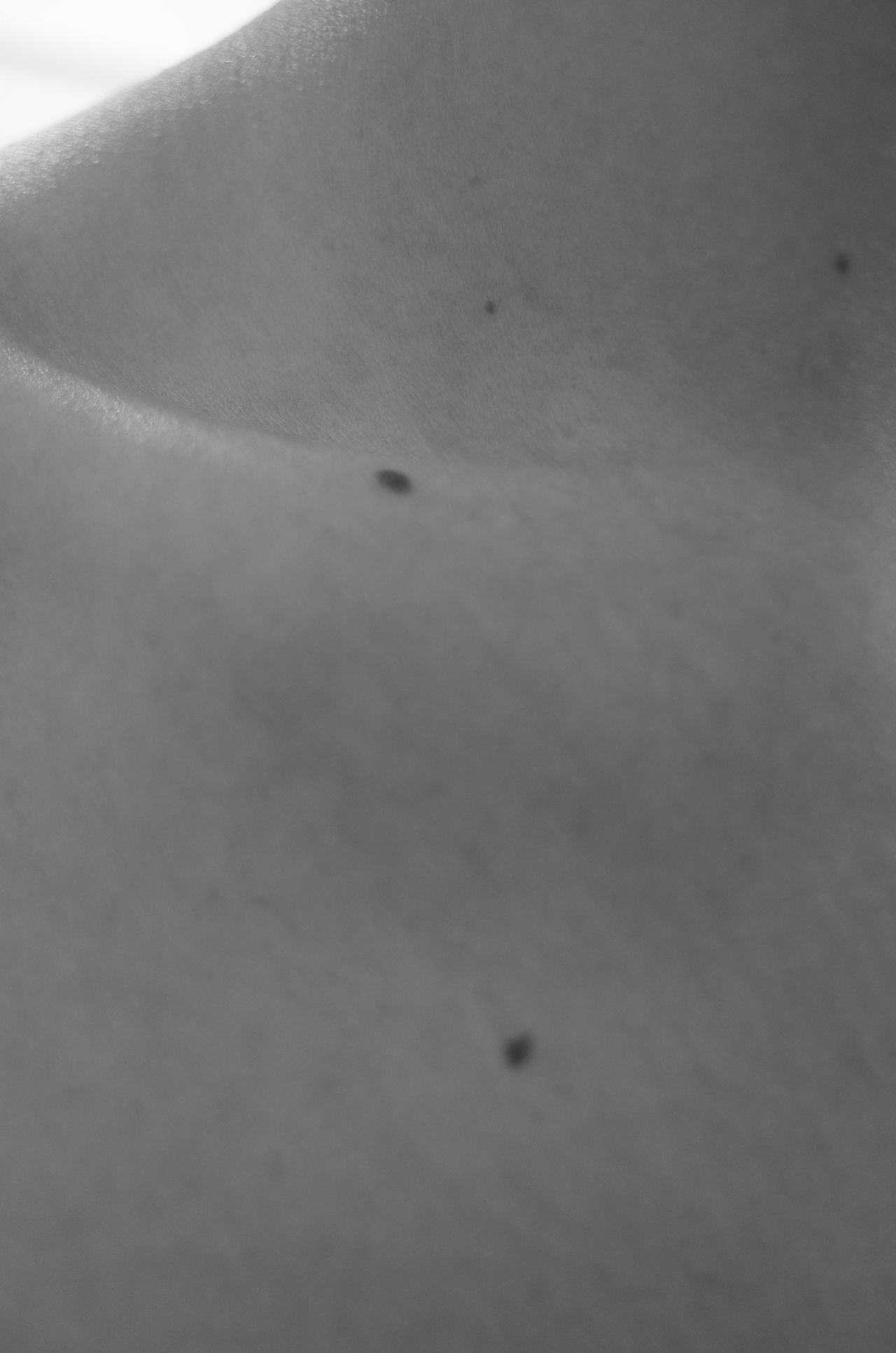 做个诚实的记录者