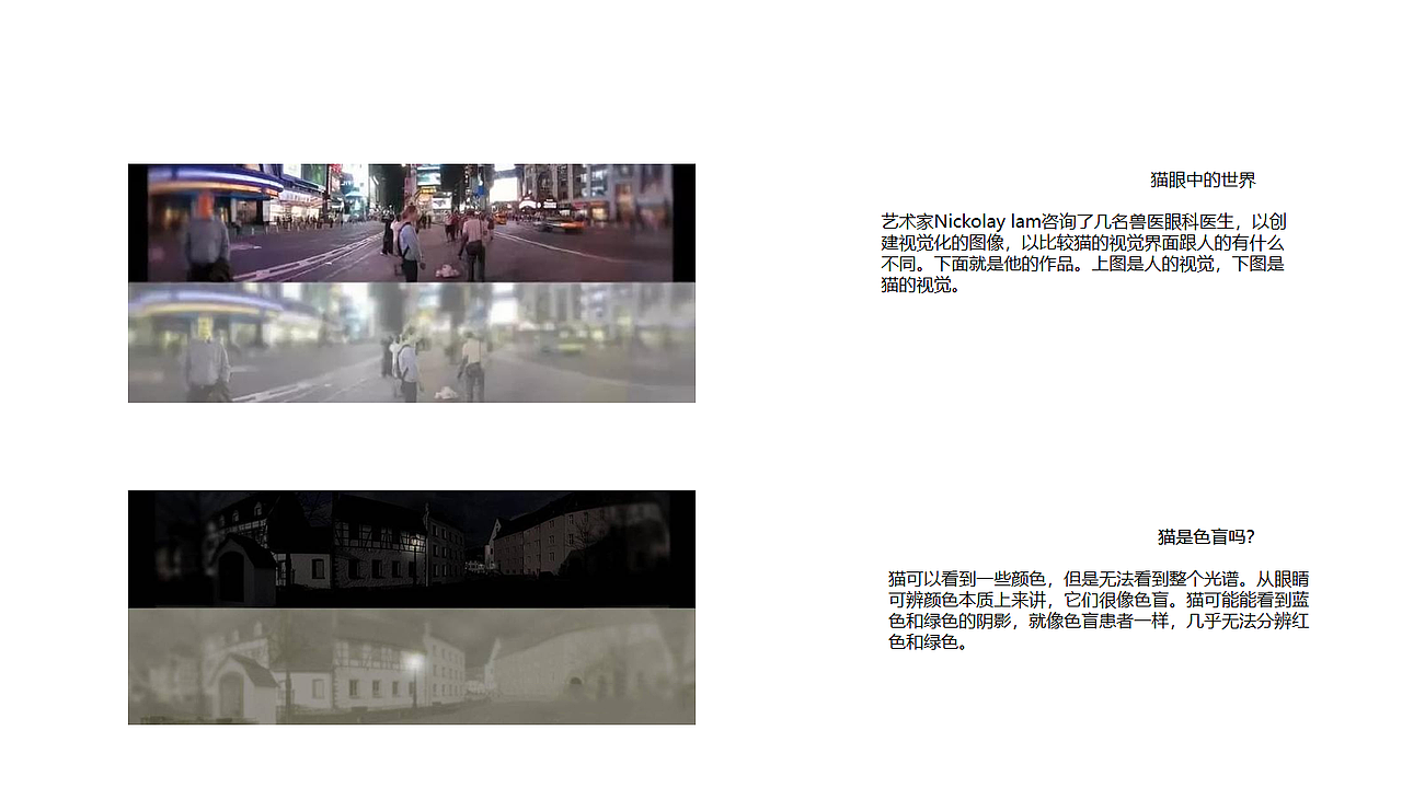 “Partner - Travel with Animals”动物旅行包设计