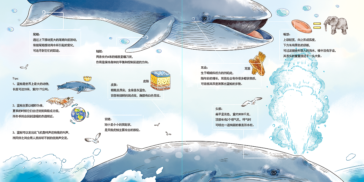 儿童科普插图设计(一)