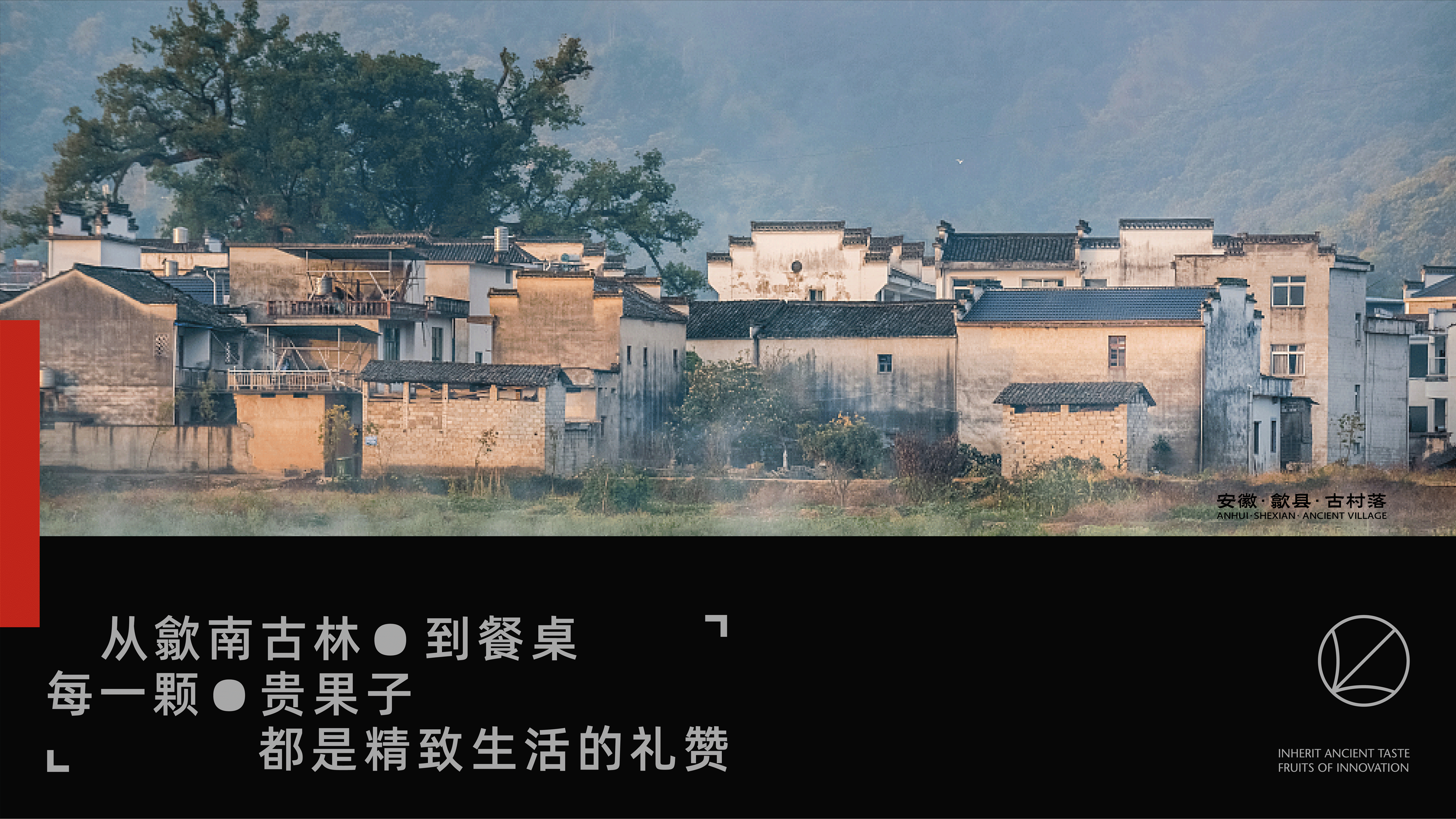 贵果子品牌设计-坚果炒货品牌创意呈现