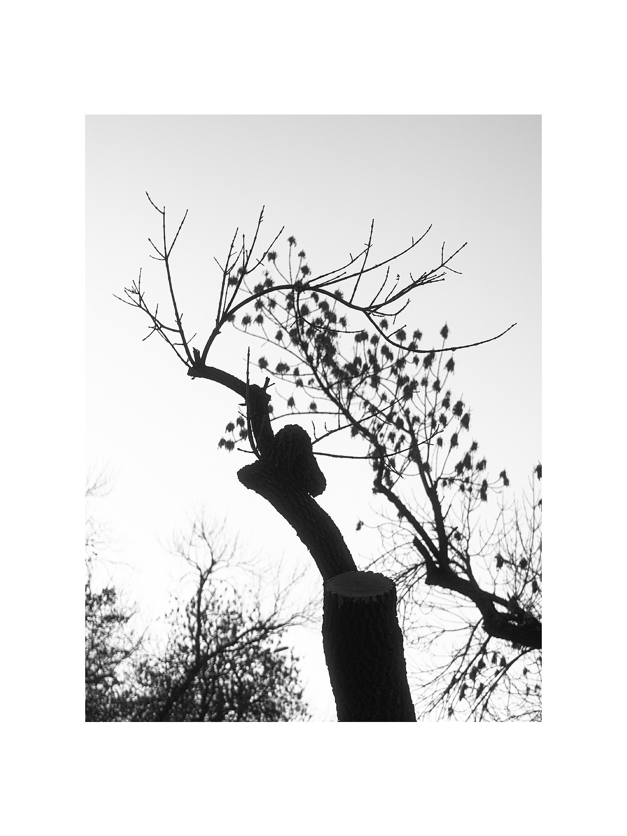 拾光（图ZMzYwMTk1ODUy） - 人文/纪实摄影 - 站酷设计师donghuan2015原创素材 - 站酷ZCOOL