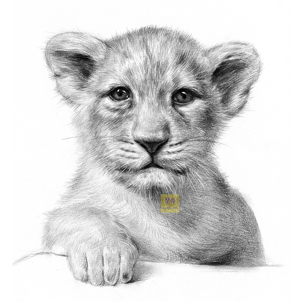 几张动物素描插画作品