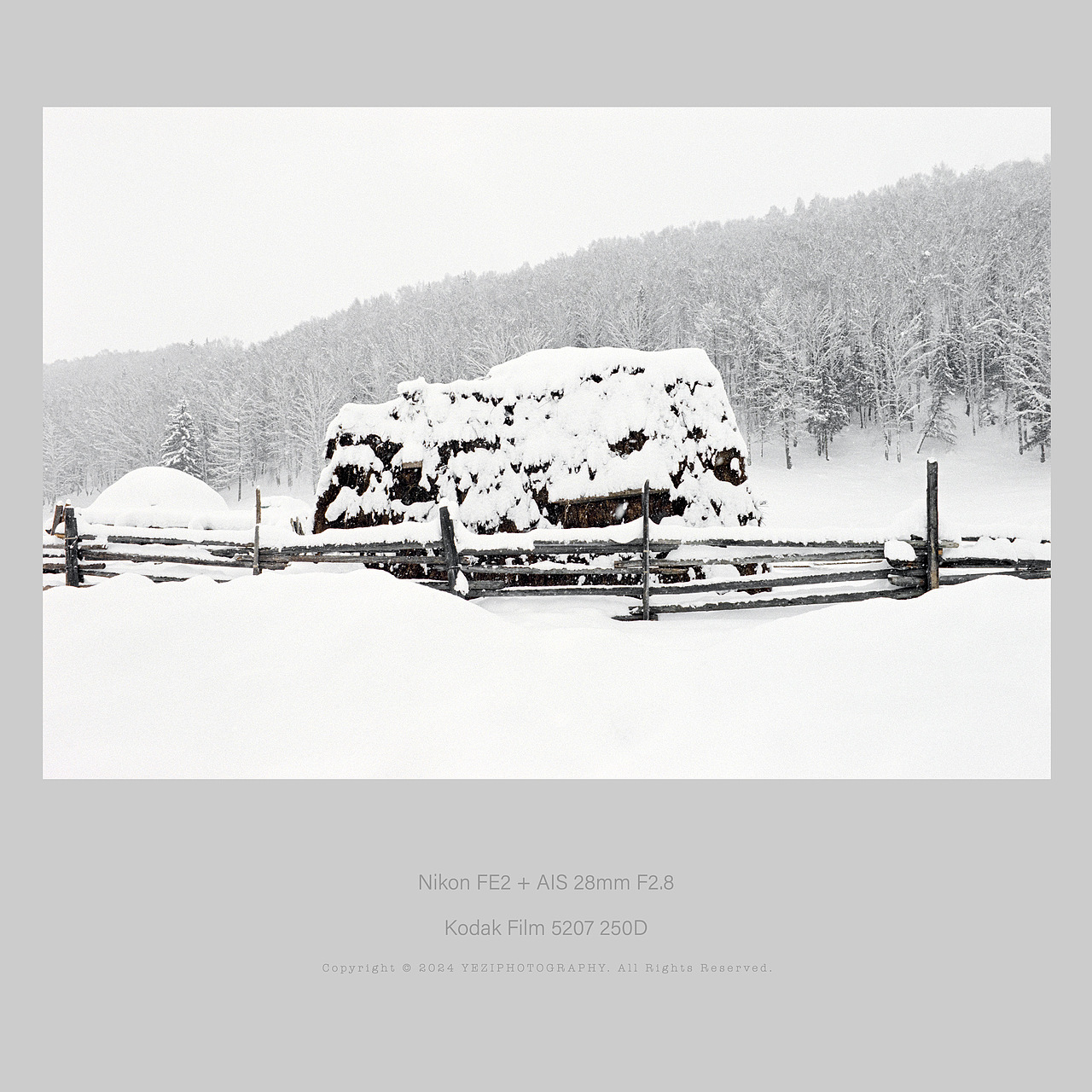 雪越下越大,图瓦人的冬牧场被大雪覆盖,山岗与草原一片洁白,丛林的剪影就像工笔画,勾勒出天空的形状。太安静了,安静到几乎可以听见落雪的声音。(禾木)