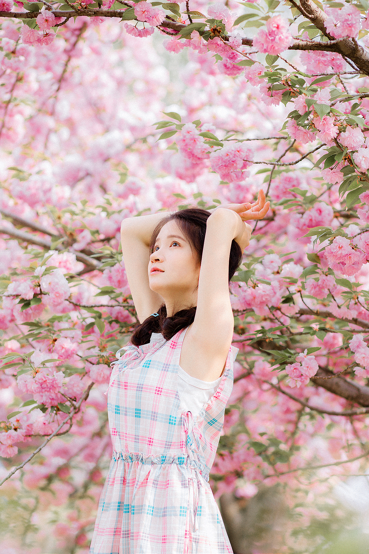 晚樱（图ZMzY4MDgxNDk2） - 人像摄影 - 站酷设计师笔画年华原创素材 - 站酷ZCOOL