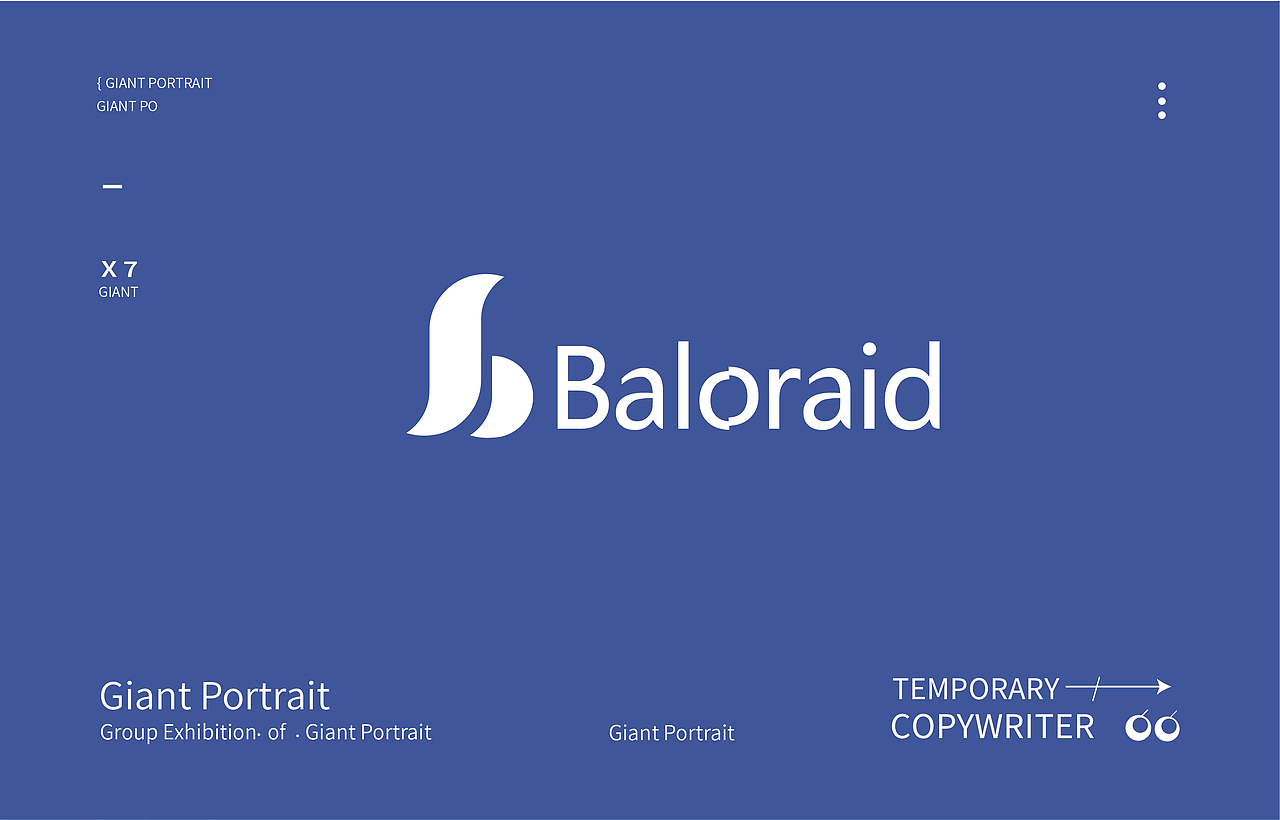 《Baloraid》品牌設(shè)計(jì)（圖ZMzU3MTg4OTc2） - 品牌 - 站酷設(shè)計(jì)師小木蟲123456原創(chuàng)素材 - 站酷ZCOOL
