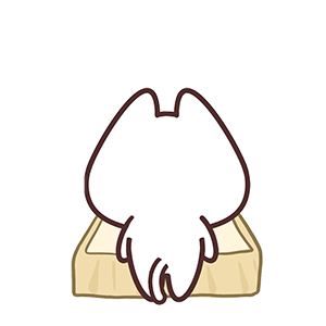 猫与熊 想要暴富的小N小Q 动态表情包 |原创IP可授权