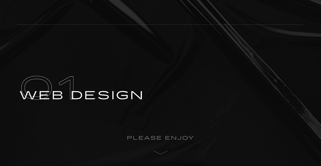 霸王龙Xx.2025作品集