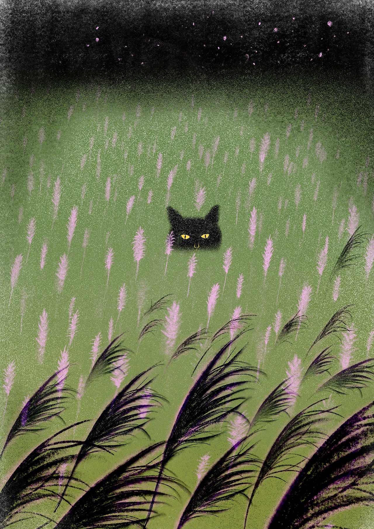 藏在芦苇丛中的黑猫