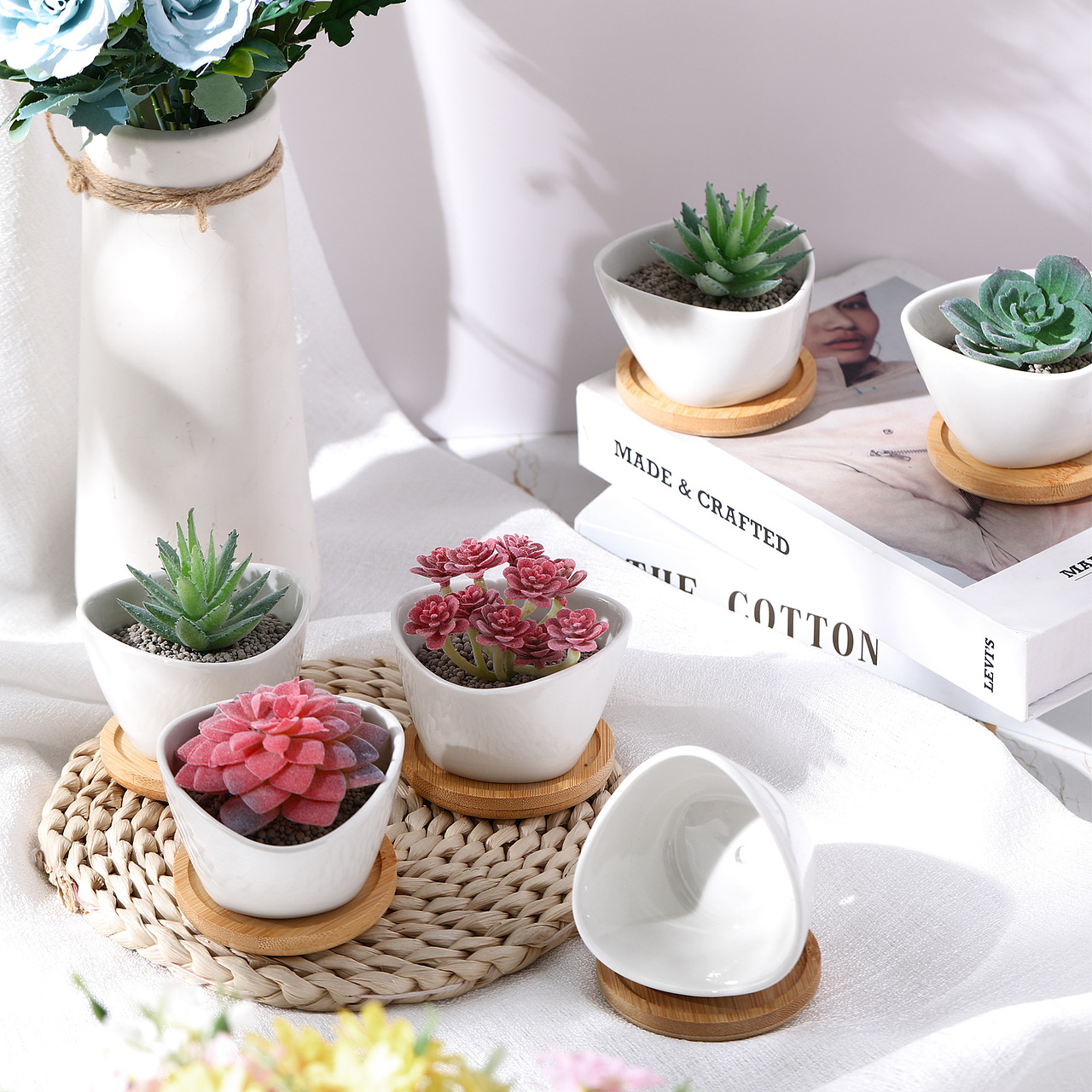 亚马逊-植物盆栽主副图