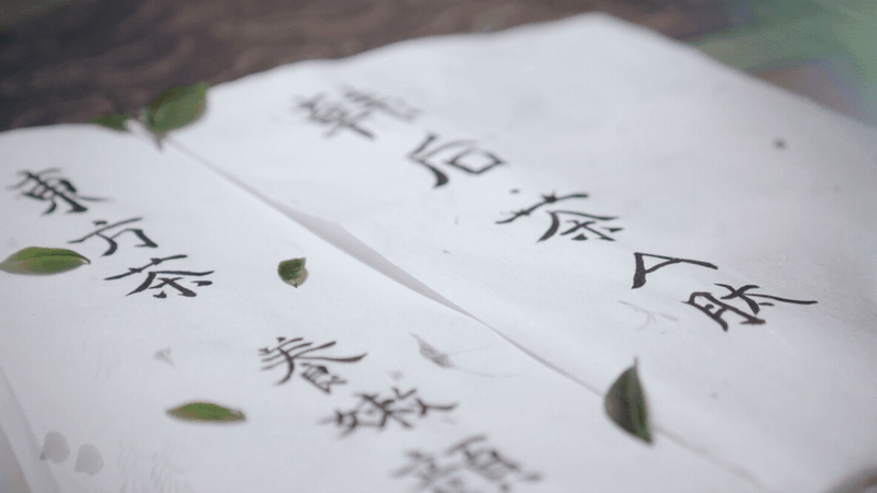 视频 | 韩后 | 响马摄影（图ZMzE4OTc3MTA0） - 短片 - 站酷设计师响马摄影原创素材 - 站酷ZCOOL