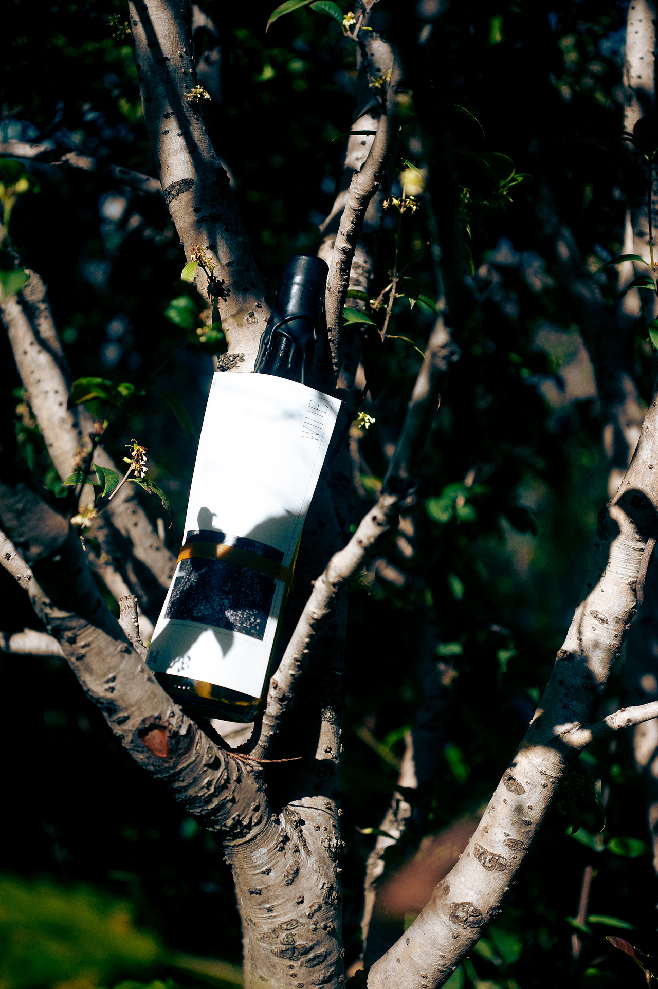 CLOSE TO ABYSS / WINE（图ZMzI4OTkyMDMy） - 包装 - 站酷设计师Pharaoh_Ars_摆薯原创素材 - 站酷ZCOOL