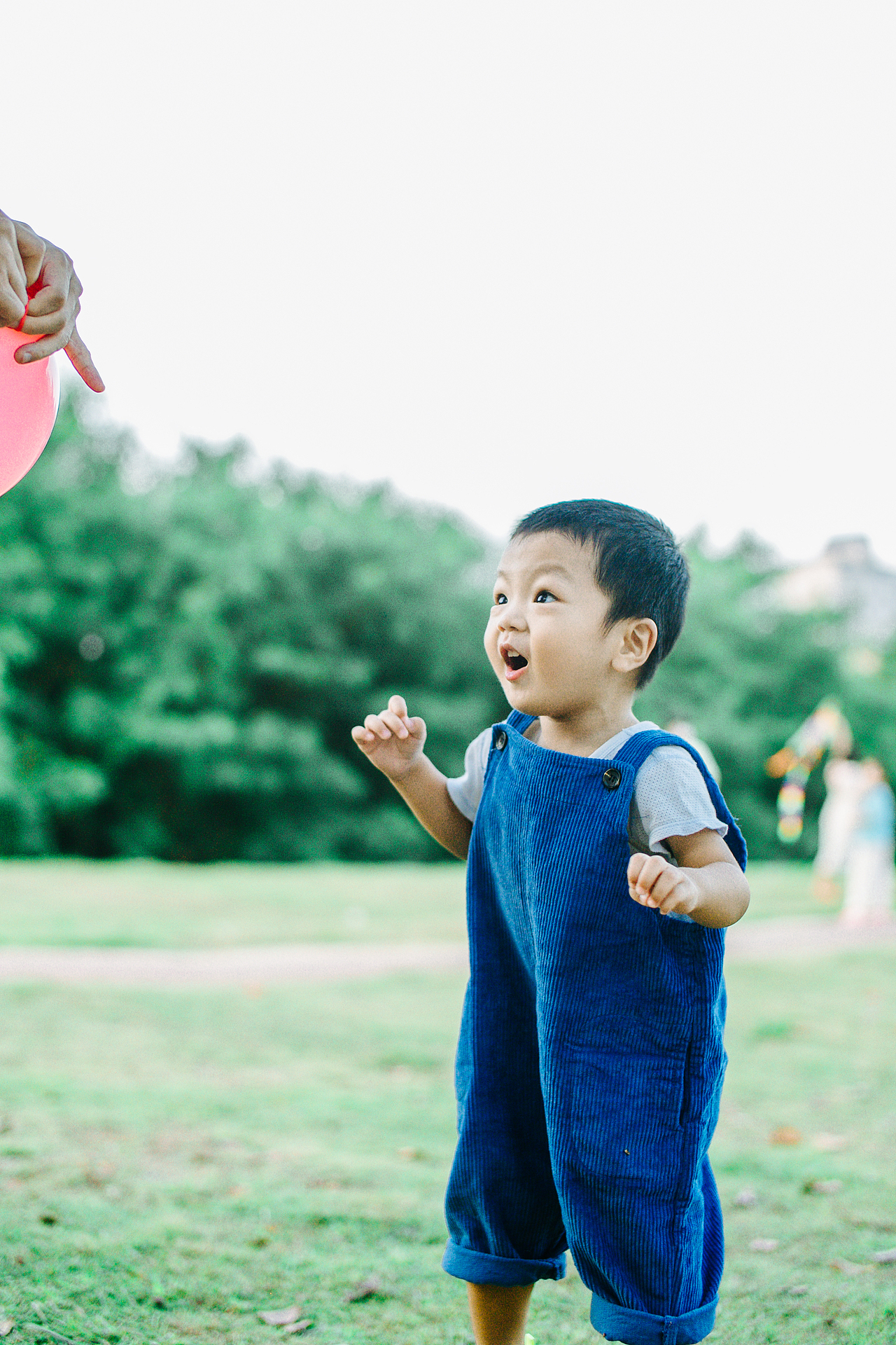 天天来到地球两周岁啦